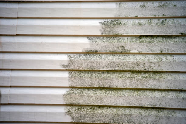  Desert View Highlands, CA Siding Installation Pros