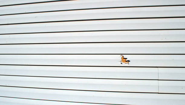 Best Engineered Wood Siding  in Desert View Highlands, CA